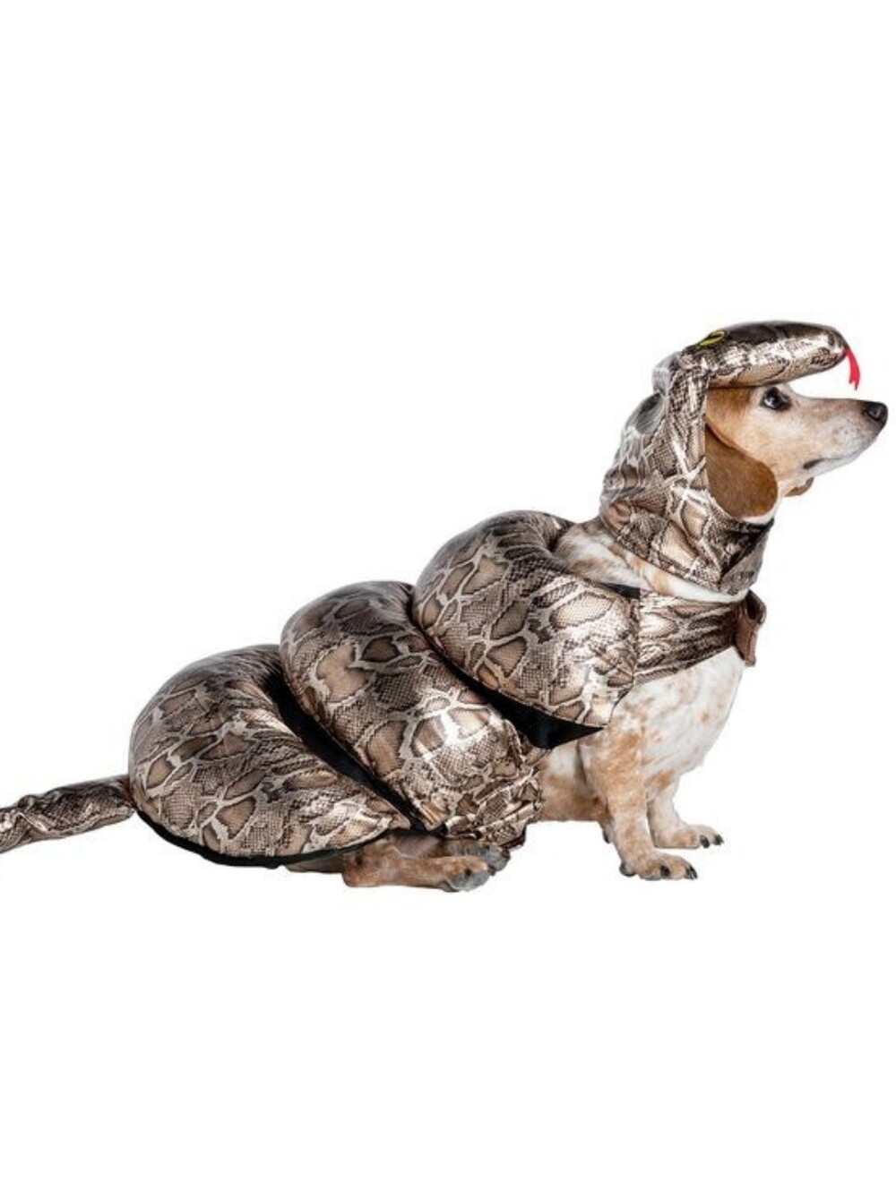 NWT Glows In The Dark !!  Snake Costume for Dogs.gold Python Print Hoodie & Tail
